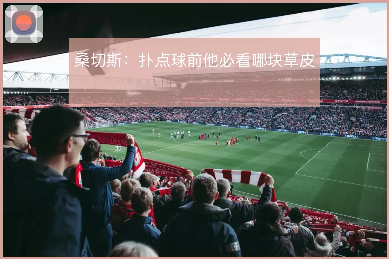 桑切斯：扑点球前他必看哪块草皮