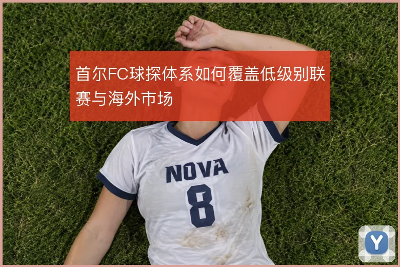 首尔FC球探体系如何覆盖低级别联赛与海外市场
