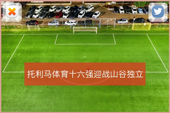 托利马体育十六强迎战山谷独立